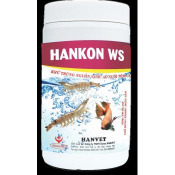 HAN-KON WS